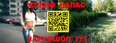 МДПВ Камышлов