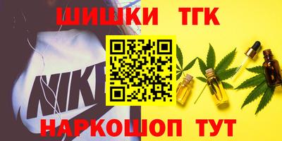 МДПВ Камышлов