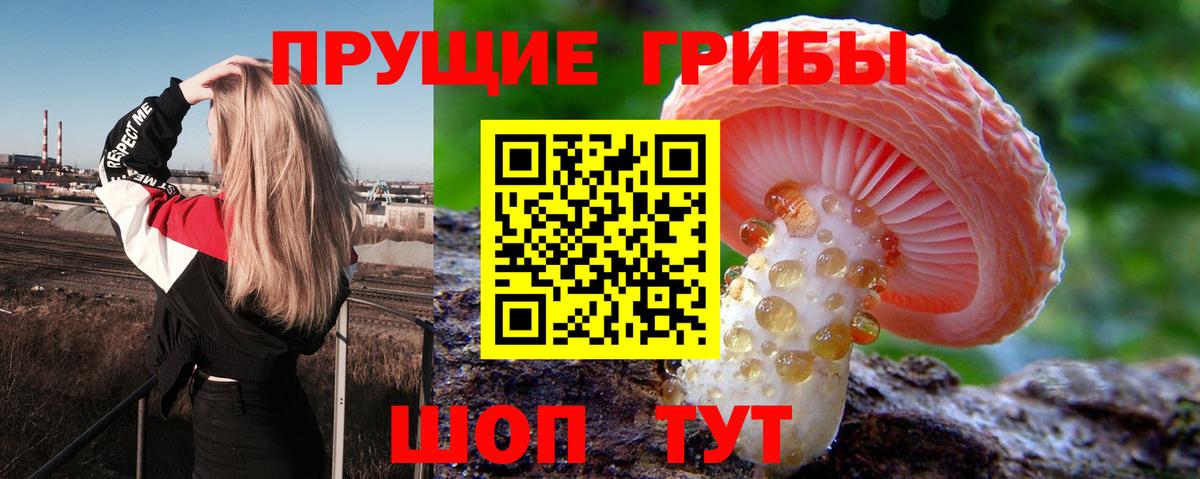 Кыштым  Псилоцибиновые грибы GOLDEN TEACHER  Псилоцибиновые грибы MAGIC MUSHROOMS  Вход с VPN 